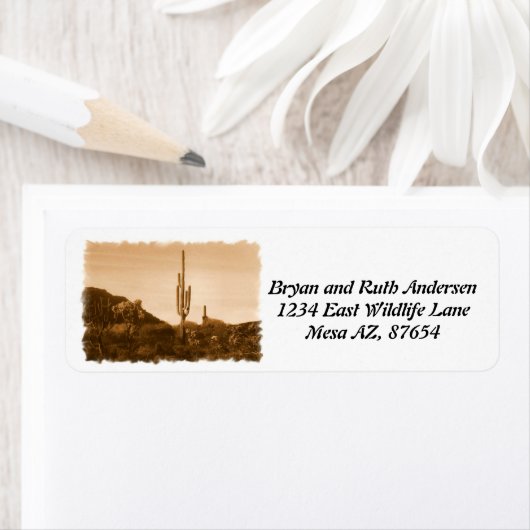 Wüste im Sepia (Insitu)