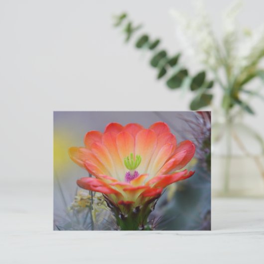 Wüste in Bloom Postkarte (Stehend Vorderseite)