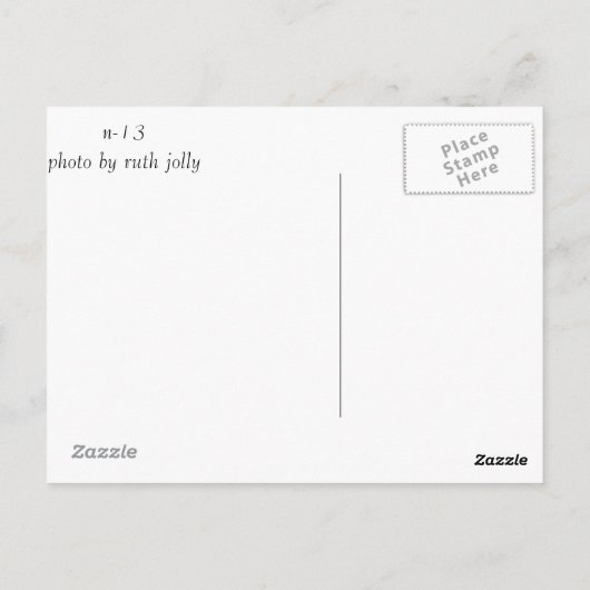 Wüste in Bloom Postkarte (Rückseite)