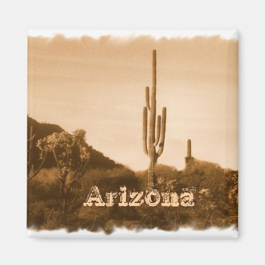 Wüste in Sepia, Arizona Magnet (Vorne)