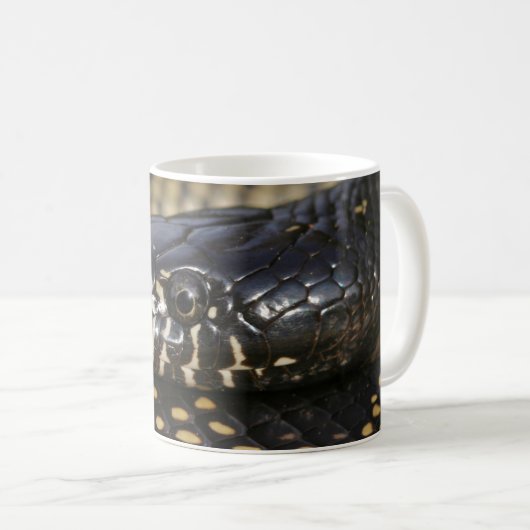 Wüste Kingsnake Tasse (VorderseiteRechts)