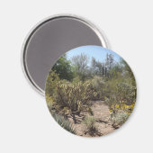 Wüste Magnet (Vorderseite/Rückseite)