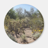 Wüste Magnet (Vorne)