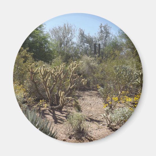 Wüste Magnet (Vorne)