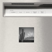 Wüste Magnet (In Situ (Geschirrspüler))