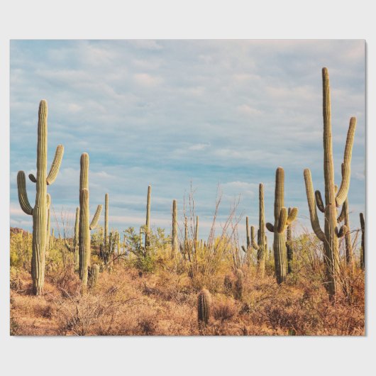 Wüste mit Saguaro cacti Geschenkpapier (Flach)