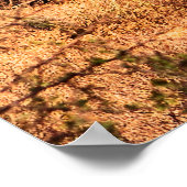 Wüste mit Saguaro cacti Poster (Ecke)