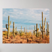 Wüste mit Saguaro cacti Poster (Vorne)