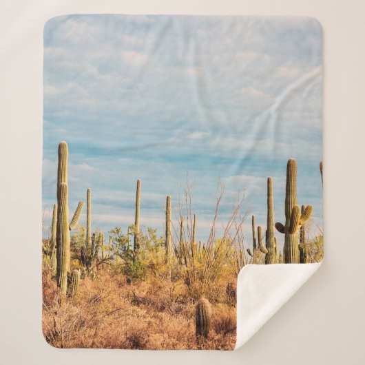 Wüste mit Saguaro cacti Sherpadecke (Vorderseite)