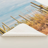 Wüste mit Saguaro cacti Sherpadecke (3/4)