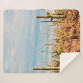 Wüste mit Saguaro cacti Sherpadecke (Vorderseite (Horizontal))