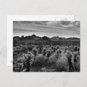 Wüste-Pflanze Postkarte (Vorne/Hinten)