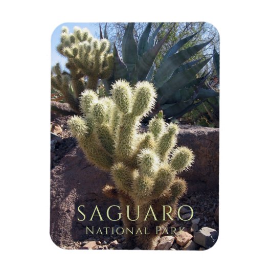 Wüste Pflanze Saguaro Nationalpark Arizona Magnet (Vertikal)