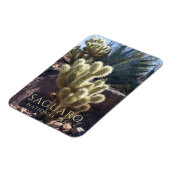 Wüste Pflanze Saguaro Nationalpark Arizona Magnet (Linke Seite)