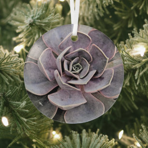 "WÜSTE PFLANZE/SÜDWESTTHEMEN/ERFOLGREICHE PFLANZ ORNAMENT AUS GLAS