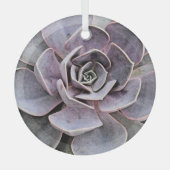 "WÜSTE PFLANZE/WESTTHEMEN/ERFOLGREICHE PFLANZE ORNAMENT AUS GLAS (Vorderseite)