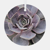 "WÜSTE PFLANZE/WESTTHEMEN/ERFOLGREICHE PFLANZE ORNAMENT AUS GLAS (Rückseite)