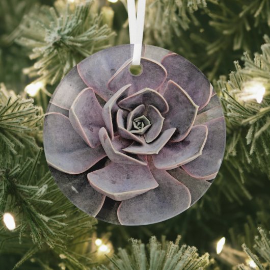 "WÜSTE PFLANZE/WESTTHEMEN/ERFOLGREICHE PFLANZE ORNAMENT AUS GLAS (InSitu)