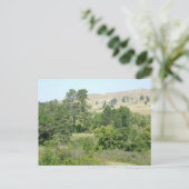 Wüste Postkarte (Stehend Vorderseite)