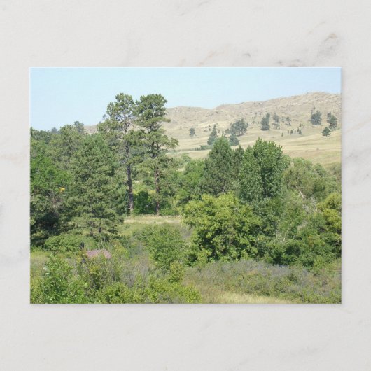 Wüste Postkarte (Vorderseite)