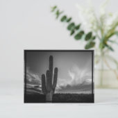 Wüste Postkarte (Stehend Vorderseite)