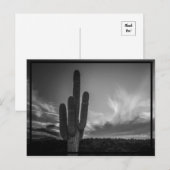 Wüste Postkarte (Vorne/Hinten)