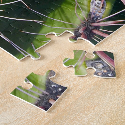 Wüste Prickly Pear Cactus Blooming Blume Puzzle (Seite)
