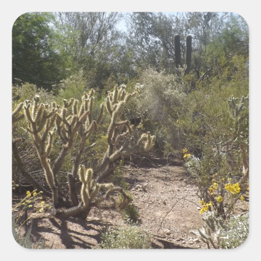 Wüste Quadratischer Aufkleber (Vorderseite)