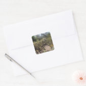 Wüste Quadratischer Aufkleber (Umschlag)