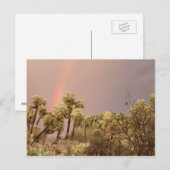Wüste Rainbow Postcard Postkarte (Vorne/Hinten)