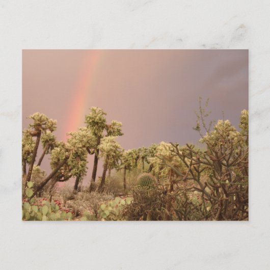 Wüste Rainbow Postcard Postkarte (Vorderseite)