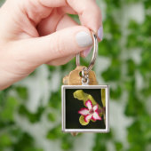 Wüste-Rose (Adenium Obesum), Südafrika Schlüsselanhänger (Hand)