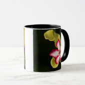 Wüste-Rose (Adenium Obesum), Südafrika Tasse (VorderseiteRechts)