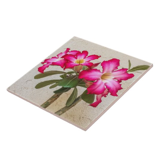 Wüste Rose Blume Keramik Tile Fliese (Seite)