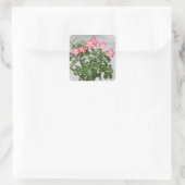 Wüste Rose Blume Pflanze Quadratischer Aufkleber (Tasche)
