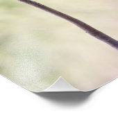 Wüste-Rose in Rosa Fotodruck (Ecke)