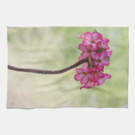 Wüste-Rose in Rosa Küchentuch