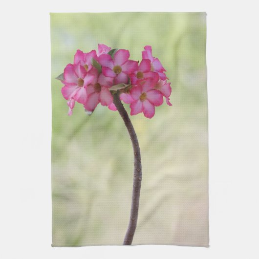 Wüste-Rose in Rosa Küchentuch (Vertikal)