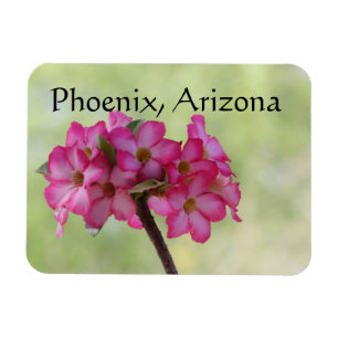 Wüste Rose in rosa Phoenix, AZ Magnet