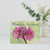 Wüste Rose in rosa Phoenix, AZ Postkarte (Stehend Vorderseite)