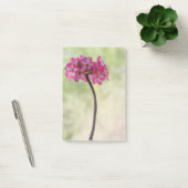 Wüste-Rose in Rosa Post-it Klebezettel (Büro)