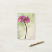 Wüste-Rose in Rosa Post-it Klebezettel (Auf Schreibtisch)