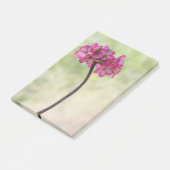 Wüste-Rose in Rosa Post-it Klebezettel (angewinkelt)