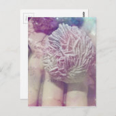 Wüste-Rose Postkarte (Vorne/Hinten)