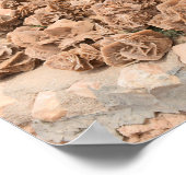 Wüste Rose. Tunesien. Poster (Ecke)