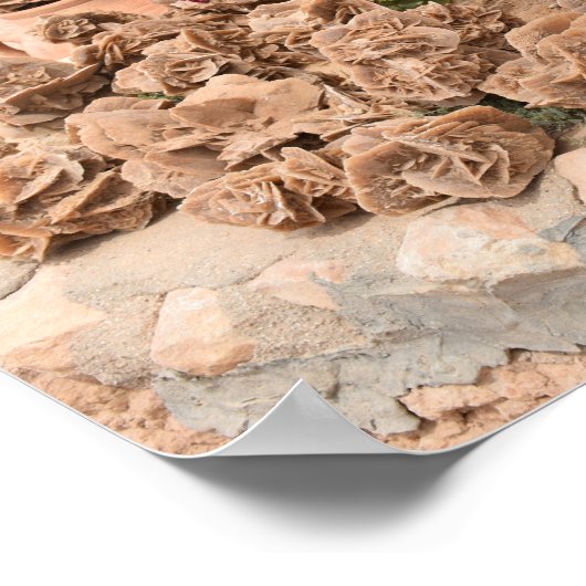 Wüste Rose. Tunesien. Poster (Ecke)