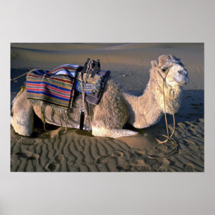 Wüste Sahara in der Nähe von Merzouga, Marokko Poster