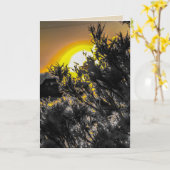 Wüste Sonnenuntergang Blank Grußkarte Karte (Gelbe Blume)