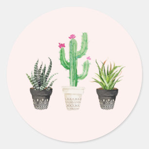 Wüste Succulent Cactus Favor Stickers - Pink