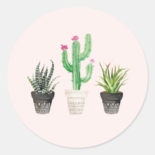 Wüste Succulent Cactus Favor Stickers - Pink (Vorderseite)